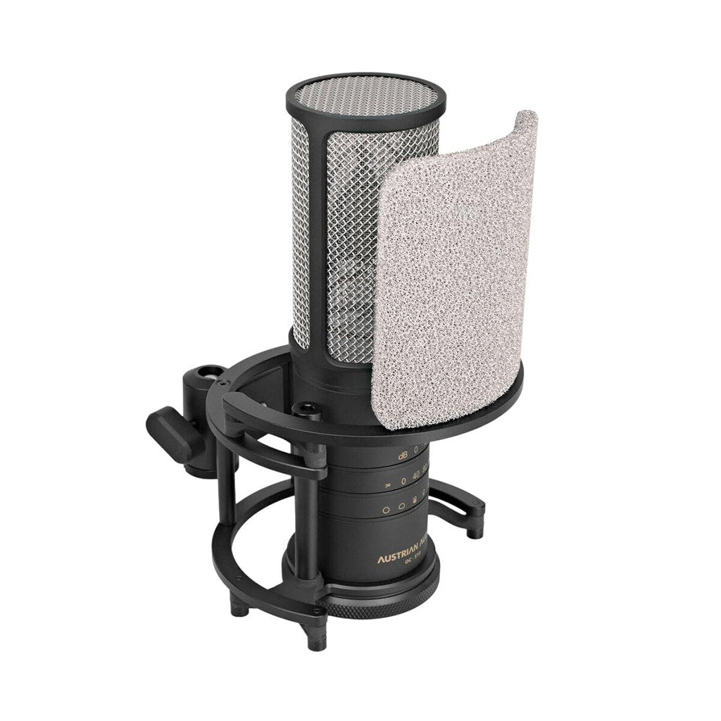 Austrian Audio OC-S10 Studio Set