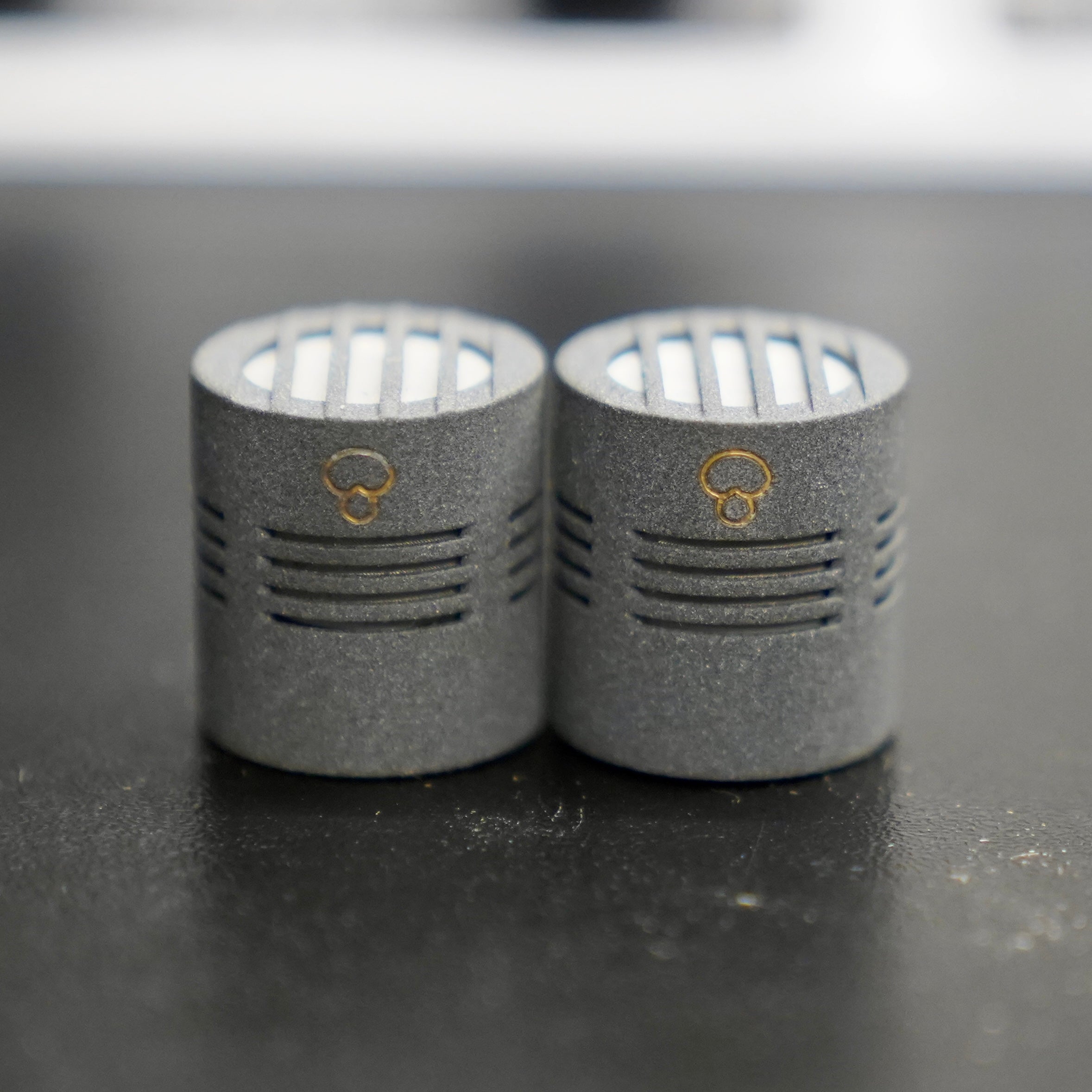 Schoeps MK41 Capsules (Pair)