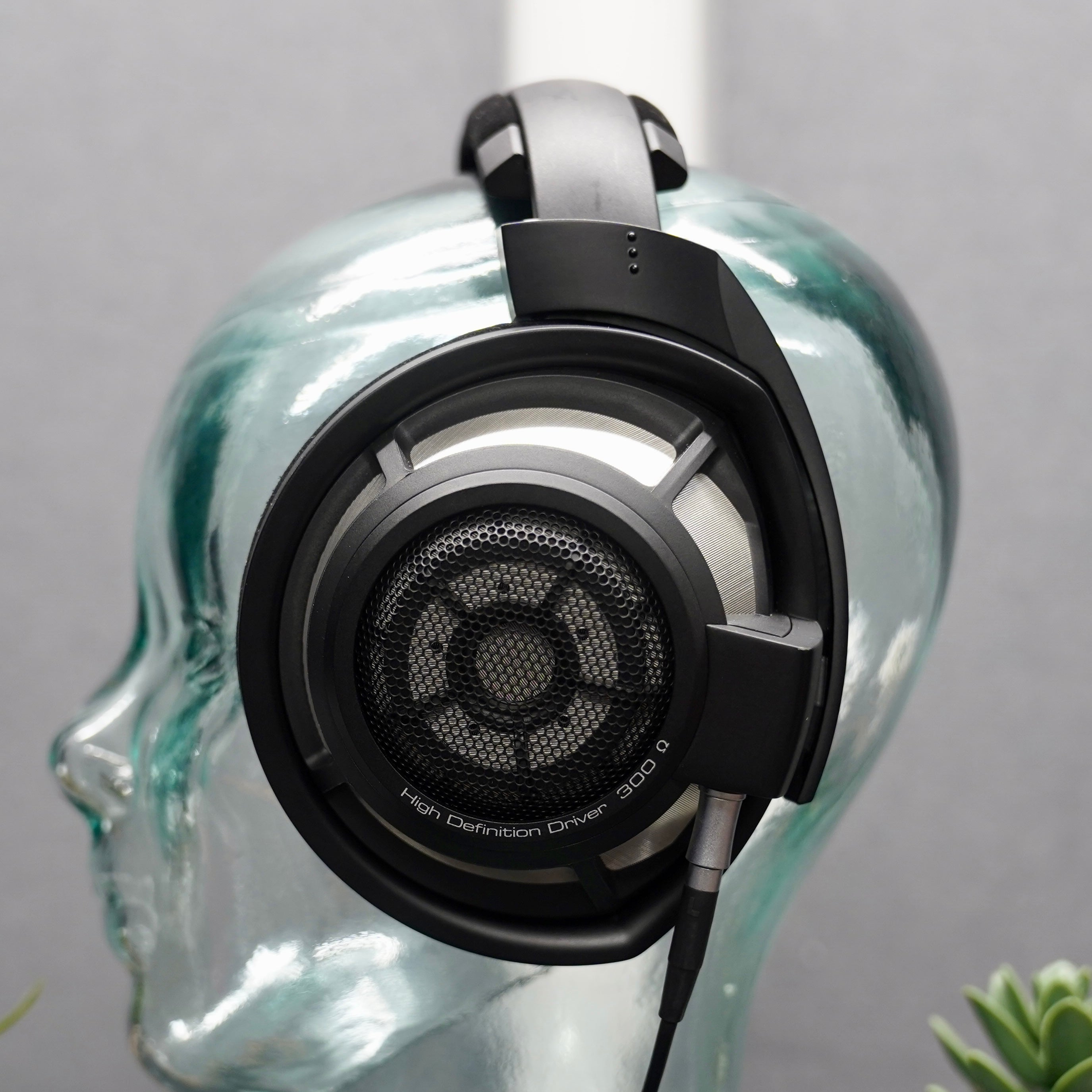 Sennheiser HD 800