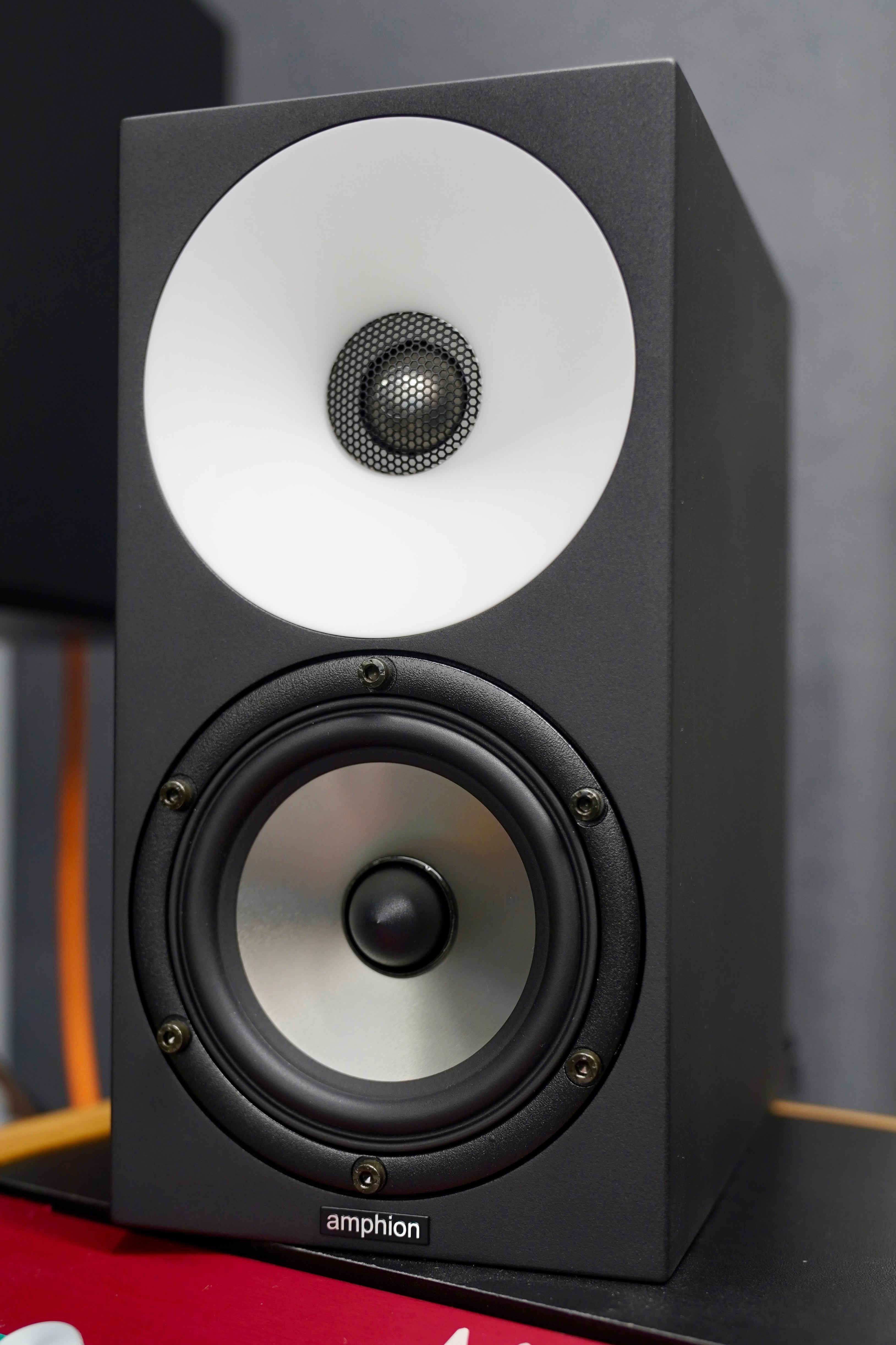 Amphion One12 (Pair) w/ Amp100