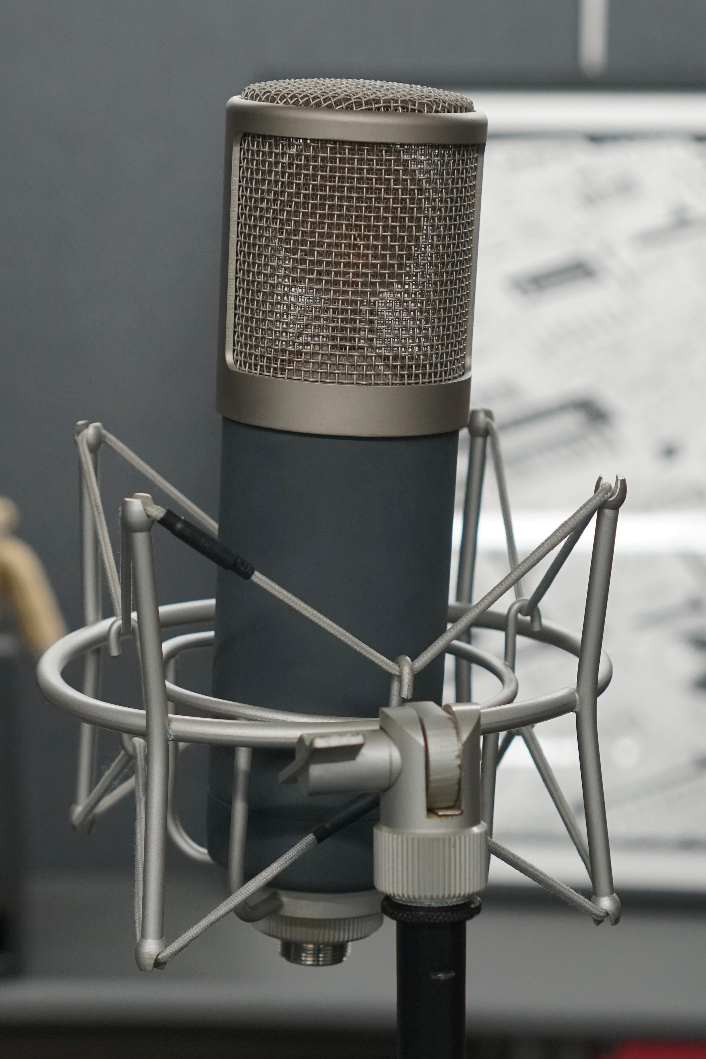 sE Electronics Z5600A Condenser Microphone