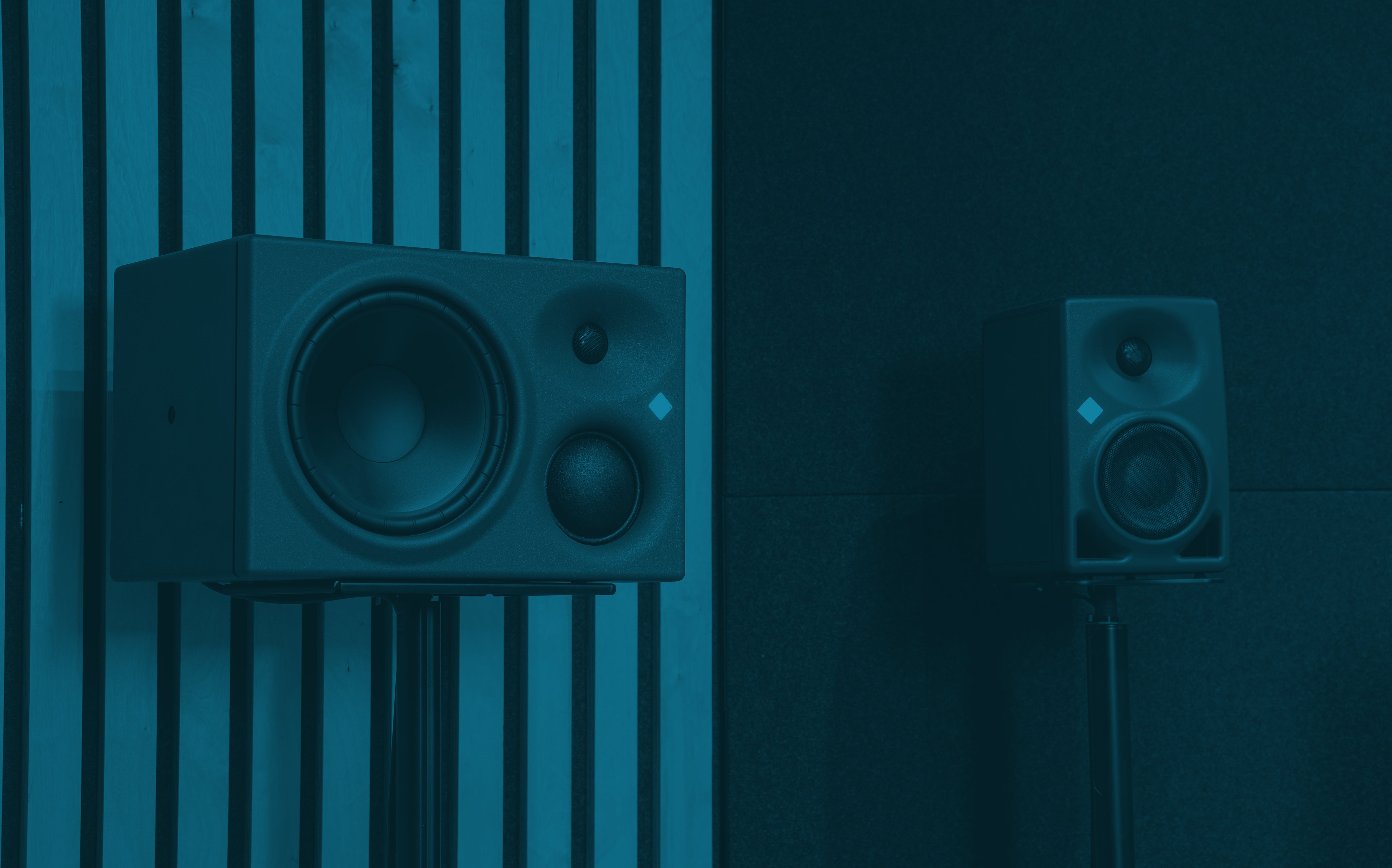 Black Lion Audio
