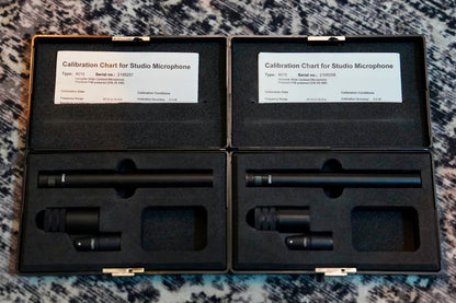 DPA 4015 (Pair)