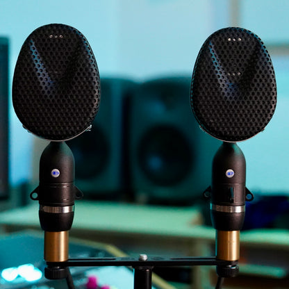 Coles 4038 Ribbon Microphone (Pair)