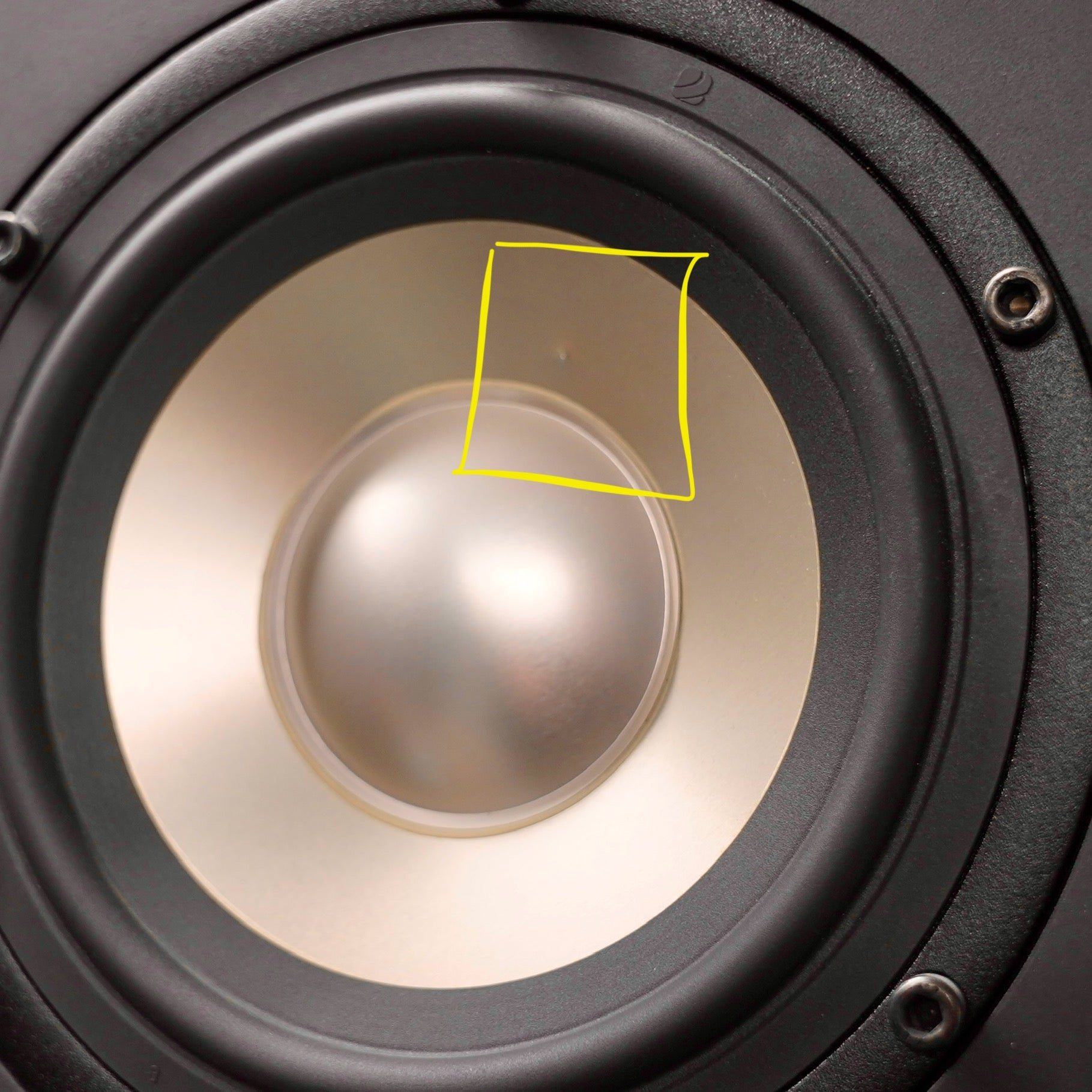 Amphion Two18 (Pair) w/ Amp500