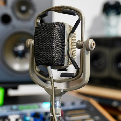 AKG D25