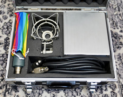sE Electronics RT1 Tube Ribbon Microphone