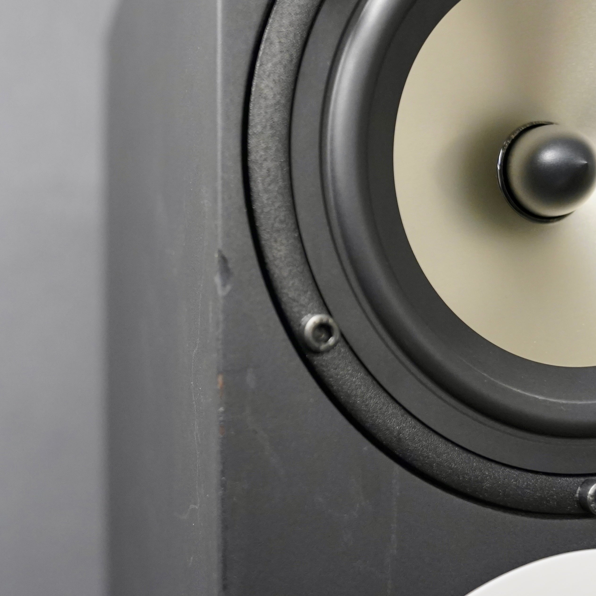 Amphion Two18 (Pair) w/ Amp500