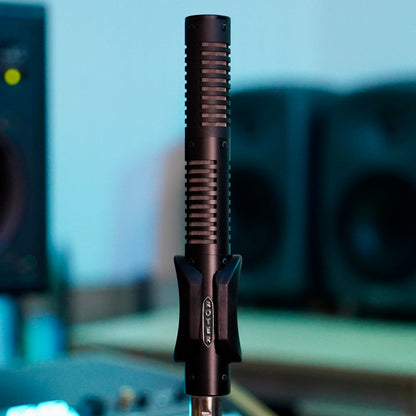 Royer SF-12