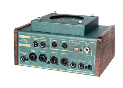 T-Rex Effects Binson Stereophonica