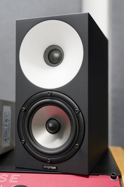 Amphion One12 (Pair) w/ Amp100