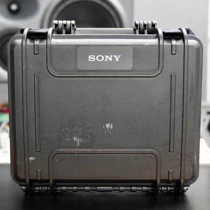 Sony C-100