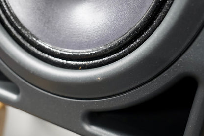 Neumann KH 420 (Pair)