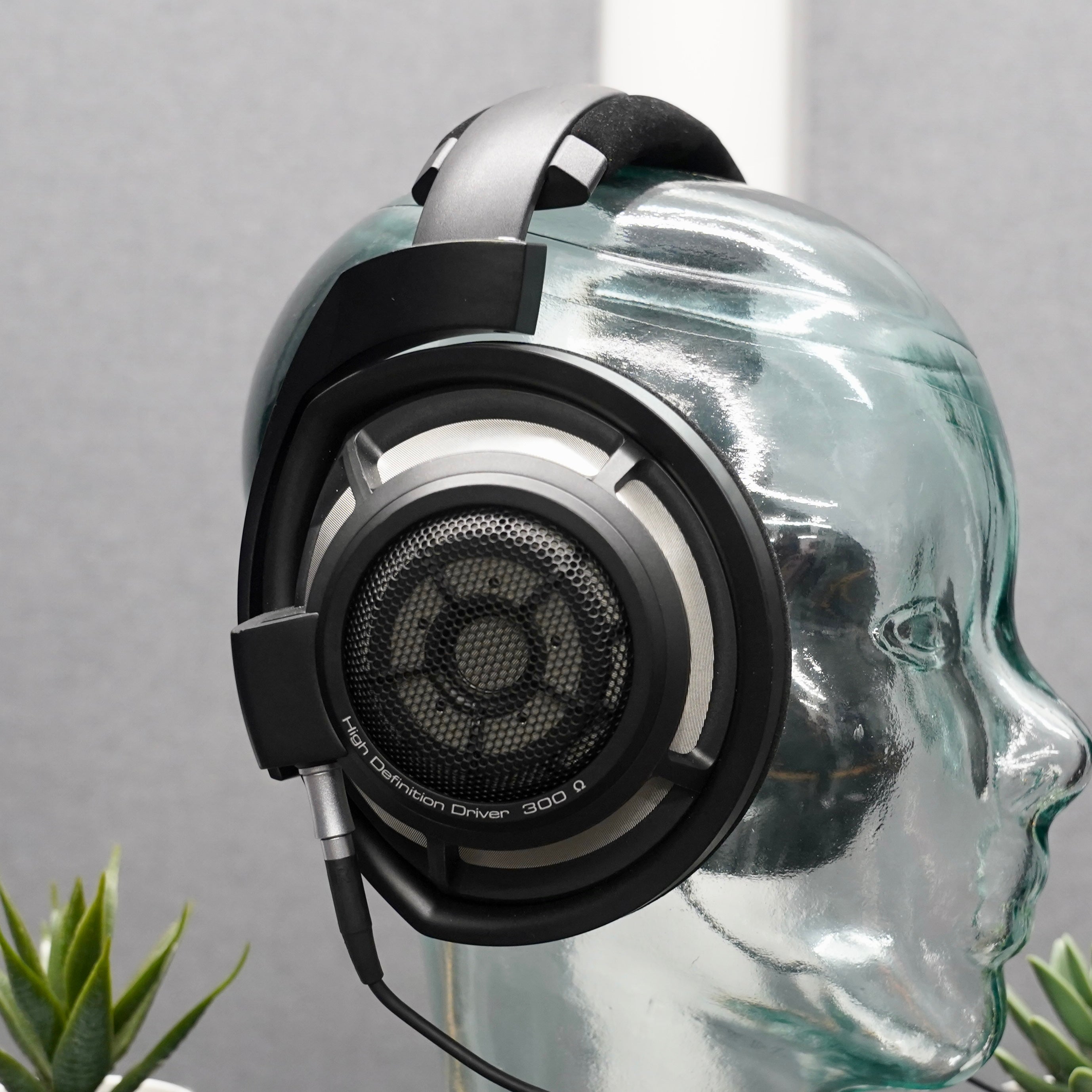 Sennheiser HD 800