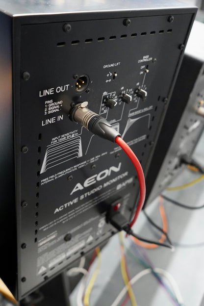 APS Aeon Active (Pair)