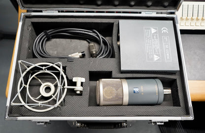 sE Electronics Gemini