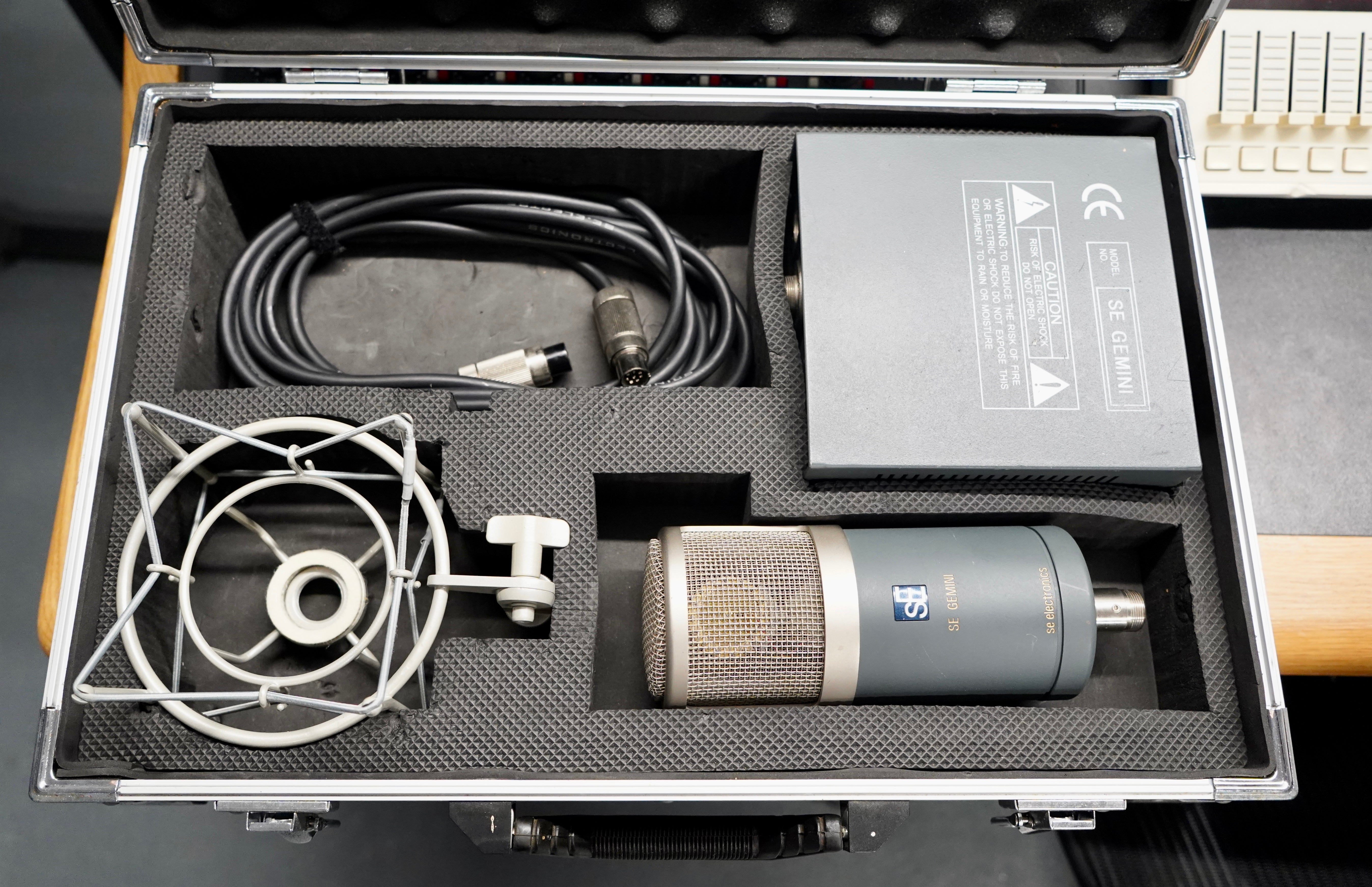 sE Electronics Gemini