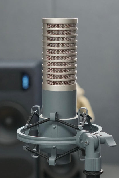 sE Electronics R1 Ribbon Microphone (Pair)